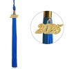 TopTie Shiny Kindergarten Child Size Graduation Cap Hat with 2025 Tassel-Royal Blue view 3