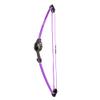 Bear Archery Spark Youth Bow Set, Ambidextrous, Flo Purple view 1