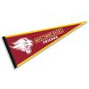 Concordia Cougars Pennant view 1