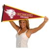 Concordia Cougars Pennant view 4