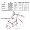 Derby Originals Desert Rose Collection Blackout Reflective Safety Stable Horse Halters with Matching Lead Ropes view 3