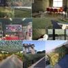 LIYFF-Tarps Camouflage Netting Woodland Military Desert Camo Net Sail Oxford Polyester Outdoor Jungle for Sunshade Decoration Hunting Blind Shooting Camping Photography Jungle view 4
