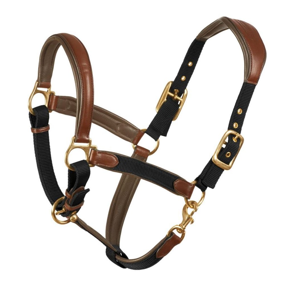 Ovation Equestrian Padded Leather Crownpiece Ergonomic Comfortable Adjustable Chin Luxor Cushion-Flex Halter, Black, Oversize