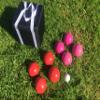BuyBocceBalls Listing - Unique Bocce Set - 107mm with Pink and Red Balls, Black Bag view 1