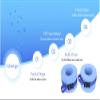 TRIEtree 2 Pcs Foam Swimming Weights Aquatic Cuffs Water Aerobics Float Ring Exercise Equipment view 4
