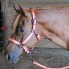 Derby Originals Desert Rose Collection Blackout Reflective Safety Stable Horse Halters with Matching Lead Ropes view 4
