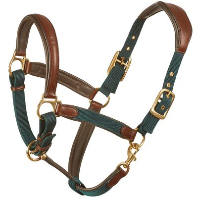Ovation Equestrian Padded Leather Crownpiece Ergonomic Comfortable Adjustable Chin Luxor Cushion-Flex Halter, Green, Cob