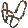 Ovation Equestrian Padded Leather Crownpiece Ergonomic Comfortable Adjustable Chin Luxor Cushion-Flex Halter, Green, Cob view 1