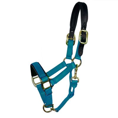 Intrepid International HALTER O/S 11-16 W/NOSE PAD TEAL, Teal, Lg - Horse