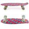 Skateboard Youth 22 inch Mini Cruiser Retro Starry Adults Skateboards for Kids Boys Girls Beginners Child Toddler Teenagers Dog Age 5 (Mixture of Pink and Blue) view 3