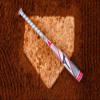 Mizuno F20-Finch Youth Tee Ball Softball Bat (-13), 25 Inch/12 oz view 3