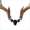 RACK HUB RH2 Match Set Antler Mounting Kit view 2
