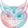 EW Designs Beautiful Rainbow Ombre Henna Pattern Owl Drawing Vinyl Decal Bumper Sticker (8" Wide) view 1