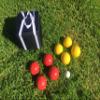 BuyBocceBalls Listing - Unique Bocce Set - 107mm with Yellow and Red Balls, Black Bag view 1