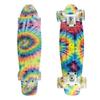 Skateboards Boys Mini Cruiser Skateboard 22 inch Kids Board for Girl Youth Children Toddler Teenagers Adult Dog for Beginner Boys 7 to 10 (Rainbow) view 2