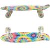 Skateboards Boys Mini Cruiser Skateboard 22 inch Kids Board for Girl Youth Children Toddler Teenagers Adult Dog for Beginner Boys 7 to 10 (Rainbow) view 3