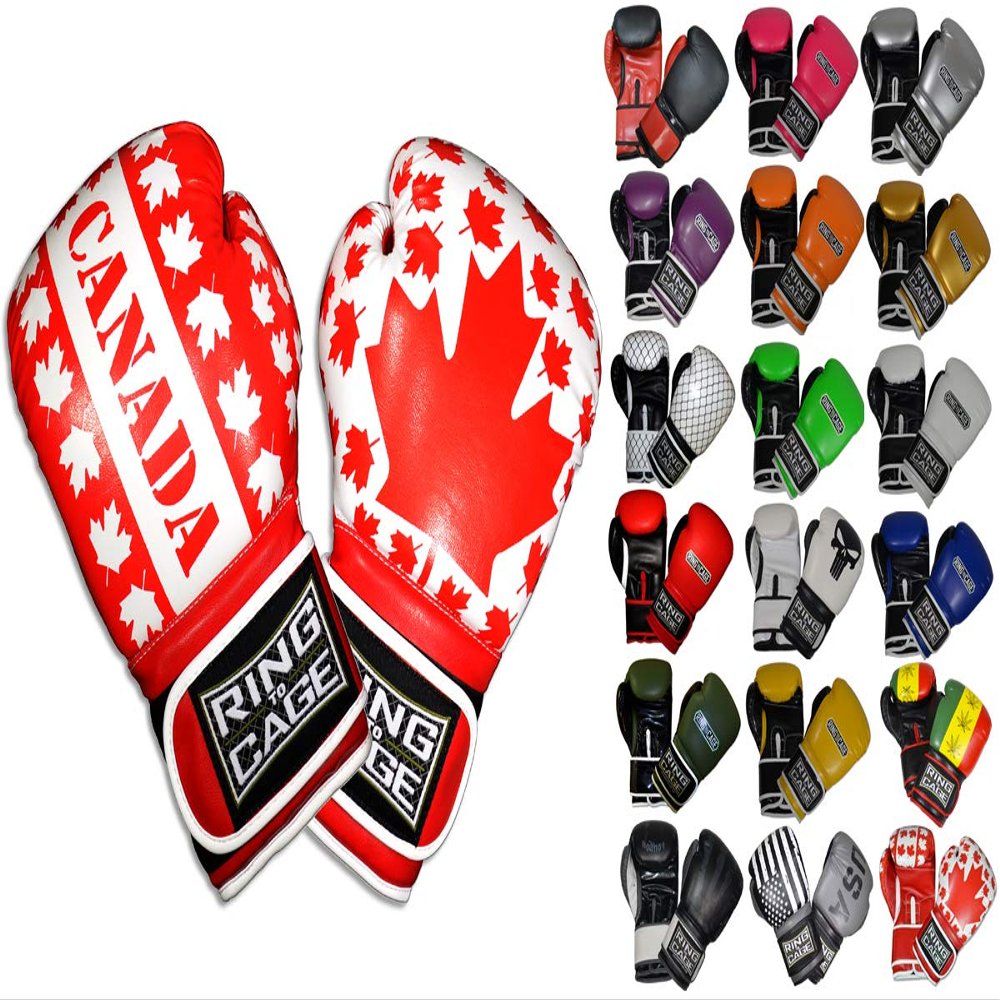 Gym Training Stand-Up Boxing Gloves (Canada, Large Weighs 16oz)