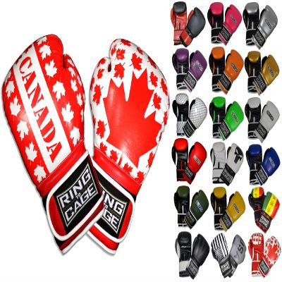 Gym Training Stand-Up Boxing Gloves (Canada, Regular Weighs 12oz)