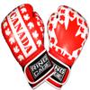 Gym Training Stand-Up Boxing Gloves (Canada, Regular Weighs 12oz) view 2