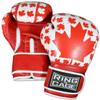 Gym Training Stand-Up Boxing Gloves (Canada, Regular Weighs 12oz) view 4