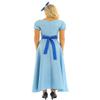 iiniim Women's Adult Elegant Princess Dress Costume Halloween Cosplay Fancy Party Maxi Dress with Bow Clip Light Blue Small view 4
