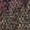 LIYFF-Tarps Woodland Military Camo Netting - Camouflage Mesh Netting UV Resistant Shade for Sunshade Decoration Hunting Blind Shooting Camping Photography Jungle view 4