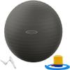 Fitvids Anti-Burst and Slip Resistant Exercise Ball Yoga Ball Fitness Ball Birthing Ball with Quick Pump, 2,000-Pound Capacity, 19-22 inch, M view 1