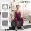 Fitvids Anti-Burst and Slip Resistant Exercise Ball Yoga Ball Fitness Ball Birthing Ball with Quick Pump, 2,000-Pound Capacity, 19-22 inch, M view 4