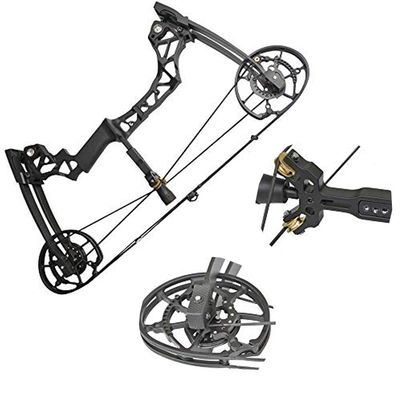 ZSHJG Archery Dual-use Compound Bow Steel Ball Bow Fishing Steel Ball Draw Length 25"-30" Adjustable 40-60lbs Right Hand 80% Let Off for Hunting Fishing Shooting (Black)