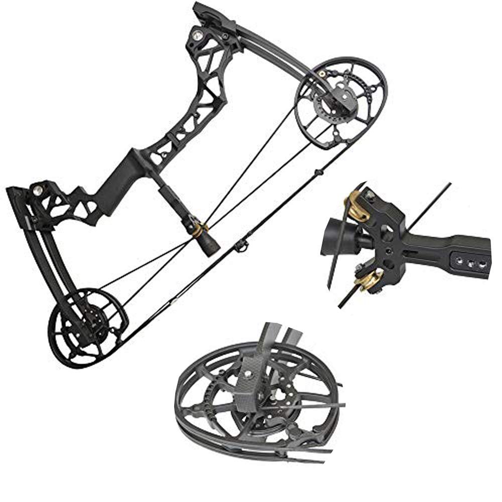 ZSHJG Archery Dual-use Compound Bow Steel Ball Bow Fishing Steel Ball Draw Length 25"-30" Adjustable 40-60lbs Right Hand 80% Let Off for Hunting Fishing Shooting (Black)