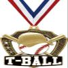 Custom T-Ball Medals, 2 1/4" Shieldz Tball Award Medal with Free Engraving 50 Pack Prime view 1