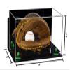 Better Display Cases Acrylic Baseball Catchers Glove Display Case with Mirror, Wall Mount and Green Risers (A011/V16) view 2