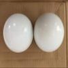 BuyBocceBalls Listing - Pack of 2 Listing - Replacement Bocce Balls - 107mm - White with 2 Different Scoring Patterns view 1