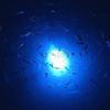 Green Blob Outdoors New Fishing Light Blue 16742 Lumen Pro 167DX Underwater, w 30ft Cord, LED, Fish Attractor, Crappie, Snook, Bass, Catfish, 3 Prong Plug view 2