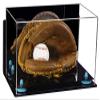 Better Display Cases Acrylic Baseball Catchers Glove Display Case with Mirror, Wall Mount and Blue Risers (A011/V16) view 1