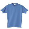 Hanes Adult 5.2 oz. ComfortSoft Cotton T-Shirt S CAROLINA BLUE view 1