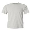 Heavy Cotton 100% Cotton Tshirt (G500) (Ash Grey[L], Charcoal[L], Gravel[L], Tweed[L], Tweed[L]) view 1