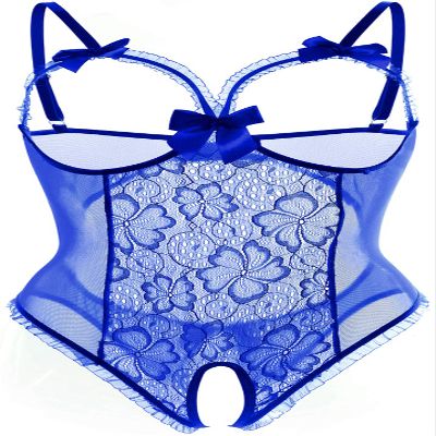 AIBINGGE Lingerie for Women One-Piece Teddy Lingerie Sexy Bodysuit Lace Nightie S-3XL(Blue,XL)