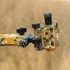 ZSHJGJR Archery Bow Sight 5 Pin 0.019 Optical Fiber Sight CNC Aluminum Horizontal Vertical Adjustment for Compound Bow Sight Accessory (Camo-Long-5 pins) view 2