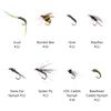 BASSDASH Fly Fishing Flies Kit Fly Assortment Trout Bass Fishing with Fly Box, 36/64/72/76/80/96pcs with Dry/Wet Flies, Nymphs, Streamers, Popper view 4