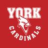 AL03 - York College Arch Logo Long Sleeve - 2X-Large - Red view 3