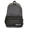 ARENA Team 30 Backpack Unisex Travel Daypack for Men and Women, Gym Training Gear Equipment Bag for Swimmers, 30 Liters, Gray Melange view 1