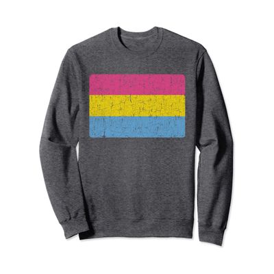 Vintage Pansexual Pride Flag Pan Men Women Gift Sweatshirt