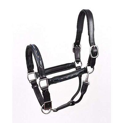 Perris Blue Pearl Bling Padded Halter Oversize