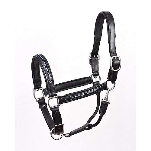 Perris Blue Pearl Bling Padded Halter Oversize