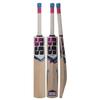SS Slogger Kashmir Willow Cricket Bat with Bat Cover view 1
