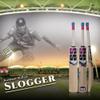SS Slogger Kashmir Willow Cricket Bat with Bat Cover view 2