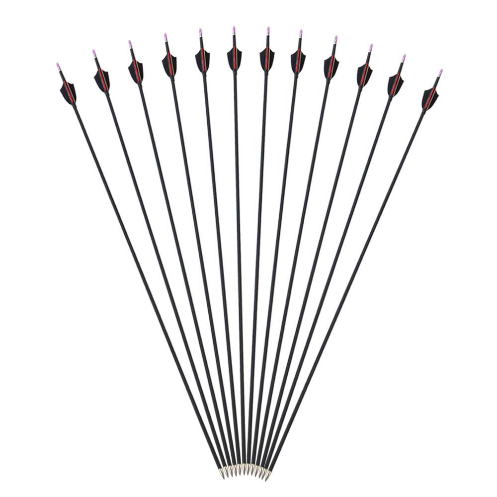 SHARROW 30Inch Archery Carbon Arrows Target Practice Hunting Arrows Spine 1000 with 2" Turkey Feathers with Shooting Tips for Compound & Recurve Bow(Pack of 12) (Black)