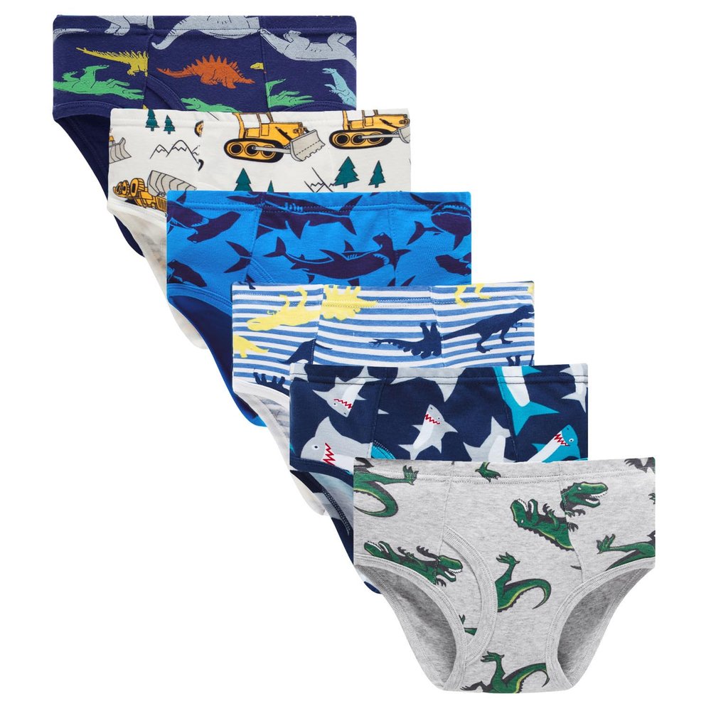 Boboking Little Boys Briefs Dinosaur Truck Toddler Kids Underwear (Pack of 6) 6/7Y