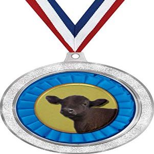 Angus Steer Medal, 2 1/2" Silver Glitter Angus Cattle Medals, Great Animal Awards 50 Pack